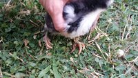 20180617_203525.jpg