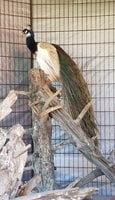 20180618_082207.jpg