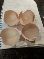 IMG_20180618_084538.jpg