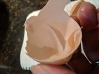 IMG_20180618_084621.jpg