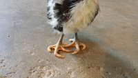 20180618_105014.jpg