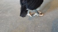20180618_105106.jpg