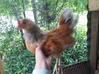 20180618_103640.jpg
