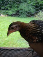 20180618_104407.jpg