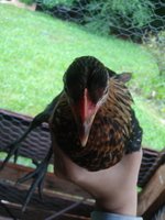 20180618_104412.jpg