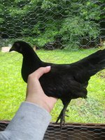 20180618_104231.jpg
