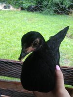 20180618_104236.jpg