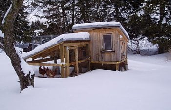 30865_chicken_coop_winter_005.jpg