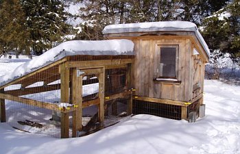 30865_chicken_coop_winter_020.jpg 30865_chicken_coop_winter_020.jpg