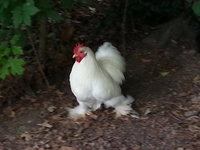 20180607_163052.jpg