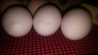0618181723.jpg