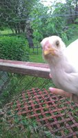 P_20180618_191731.jpg