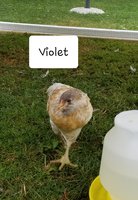20180619_111750.jpg