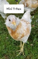 20180619_111526.jpg