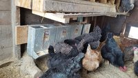 20180322_171230.jpg