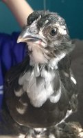 WP_20180619_008.jpg
