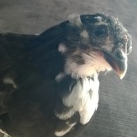 WP_20180619_009.jpg