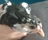 WP_20180619_010.jpg