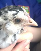 WP_20180619_015.jpg