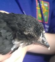 WP_20180619_017.jpg