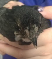WP_20180619_018.jpg