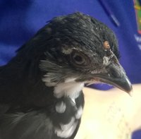 WP_20180619_020.jpg