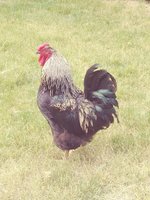 20180618_172132_Film4.jpg