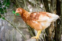 20180611-DSC_0620-14.jpg