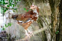 20180611-DSC_0577-4.jpg