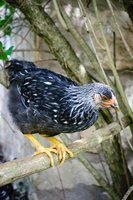 20180611-DSC_0569-2.jpg