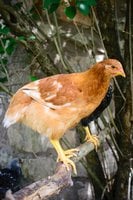 20180611-DSC_0560-1.jpg