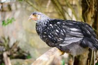 20180611-DSC_0655-22.jpg