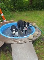 20180619_114829.jpg