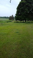 20180618_132409.jpg