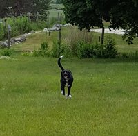 20180619_170359.jpg
