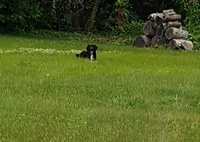 20180619_170205.jpg