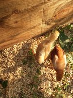 20180619_180605.jpg