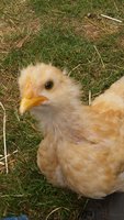 20180603_131222.jpg