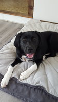 20180620_122335.jpg 20180620_122335.jpg