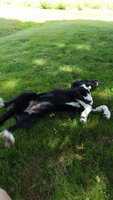 20180620_125113.jpg 20180620_125113.jpg