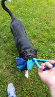 20180620_124619.jpg 20180620_124619.jpg