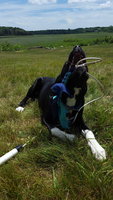 20180620_123336.jpg 20180620_123336.jpg