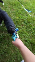 20180620_124452.jpg 20180620_124452.jpg