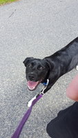 20180620_115513.jpg 20180620_115513.jpg