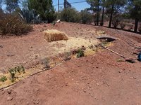 20180617_123218.jpg