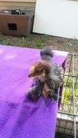 20180620_120515.jpg