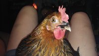 20180617_221945.jpg 20180617_221945.jpg