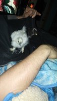 20180527_214223.jpg