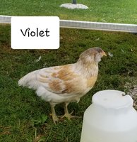 20180619_111727.jpg