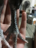 F3C0AF1B-AB4C-4572-84E9-E5D50AD74CF9.jpeg